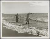 Comissão de Extinção das Instalações do Almirante Tenreiro. Fotos de Comandantes diversos, cenas de pesca, frigoríficos de Matosinhos, sargaceiros da Apúlia e Doca-pesca