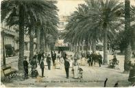 Toulon - Place de la Liberté - Allée des Palmiers  