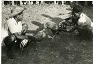 Timor - Díli