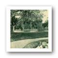 Digital representation thumbnail