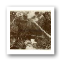 Digital representation thumbnail