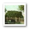 Digital representation thumbnail