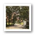 Digital representation thumbnail