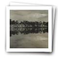 Digital representation thumbnail