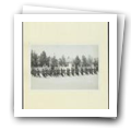 Digital representation thumbnail
