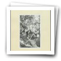 Digital representation thumbnail