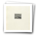 Digital representation thumbnail