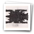 Digital representation thumbnail