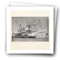 Digital representation thumbnail
