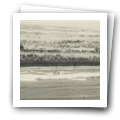 Digital representation thumbnail