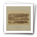 Digital representation thumbnail