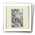 Digital representation thumbnail