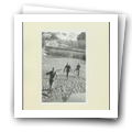 Digital representation thumbnail